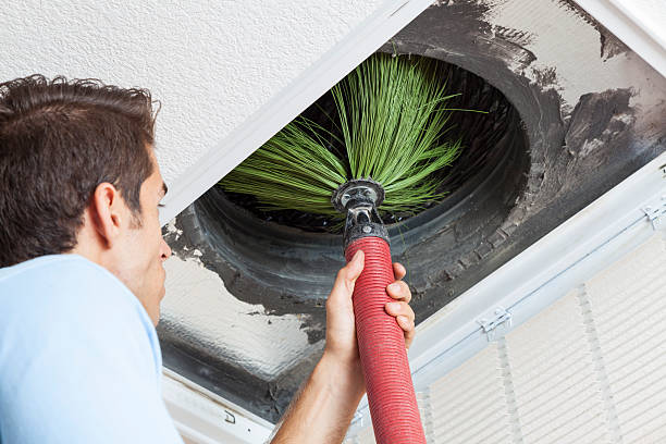 Best Ductwork Cleaning Services  in Hamburg, IA